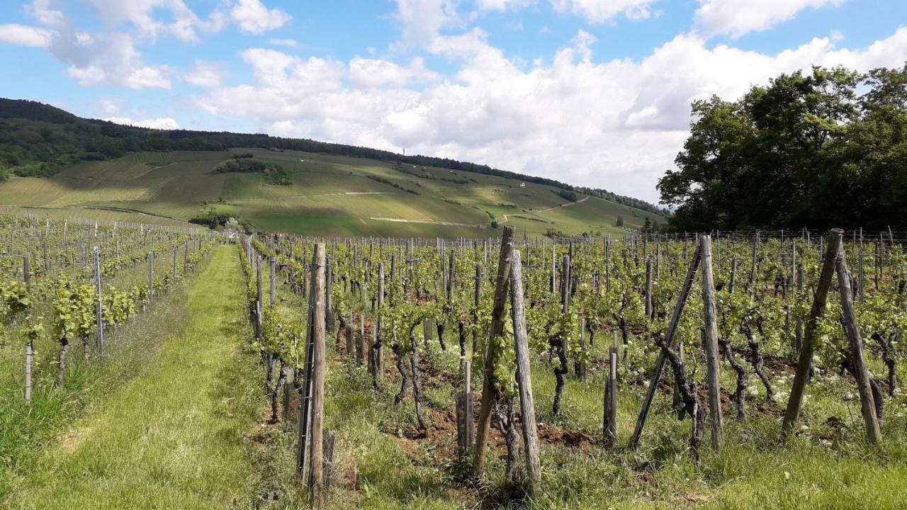 Villa/Appartement Au Coeur Des Vignes *** บาร์ ภายนอก รูปภาพ