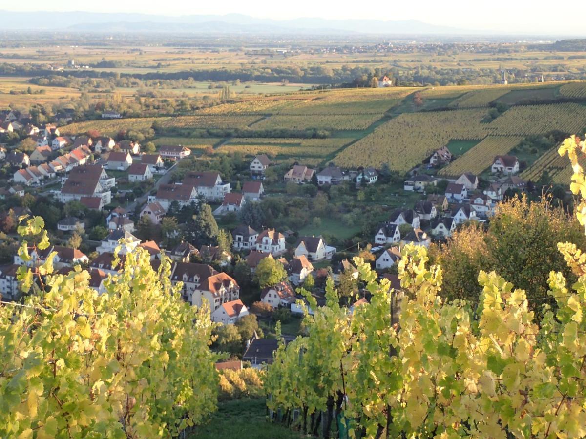 Villa/Appartement Au Coeur Des Vignes *** บาร์ ภายนอก รูปภาพ