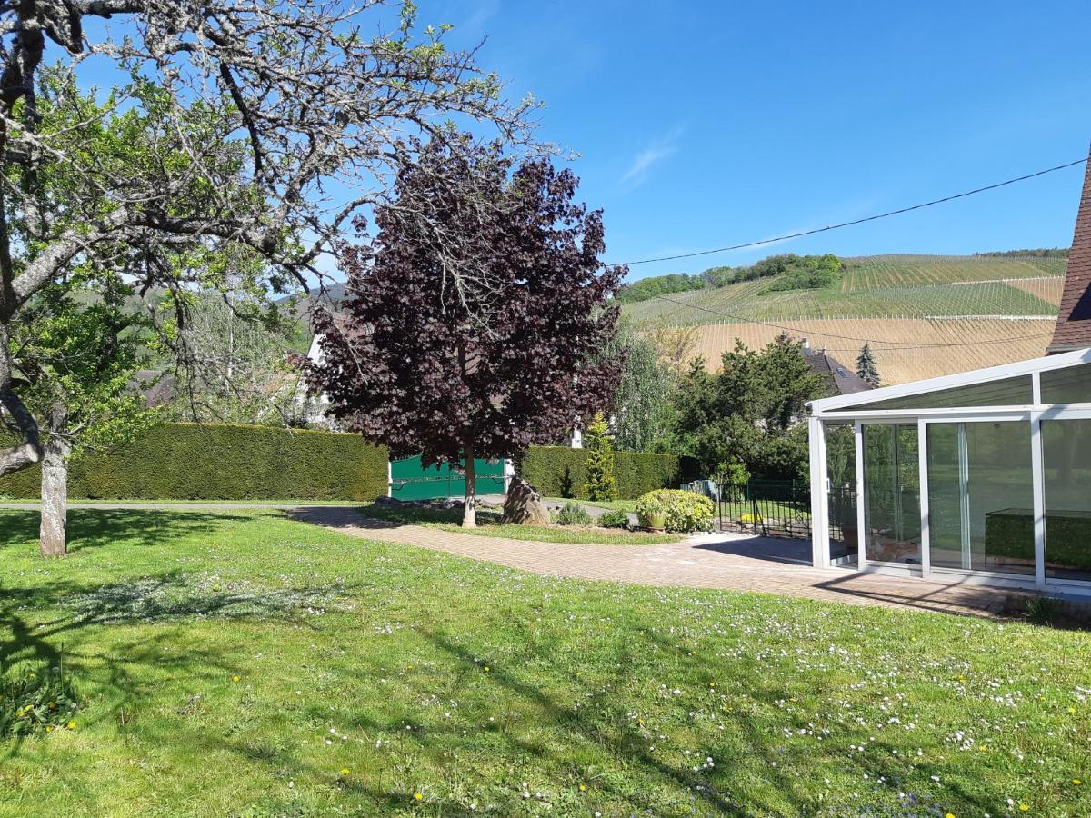 Villa/Appartement Au Coeur Des Vignes *** บาร์ ภายนอก รูปภาพ
